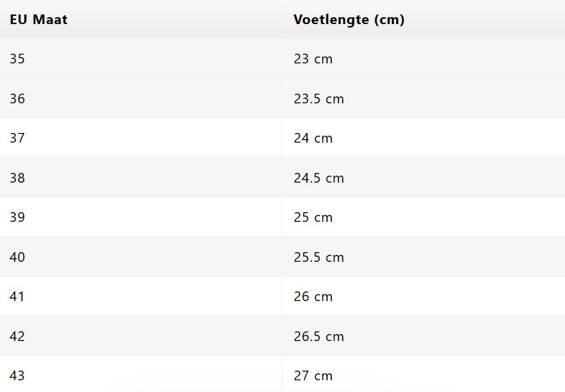 THE DIONNE - LOAFER 1+1 GRATIS